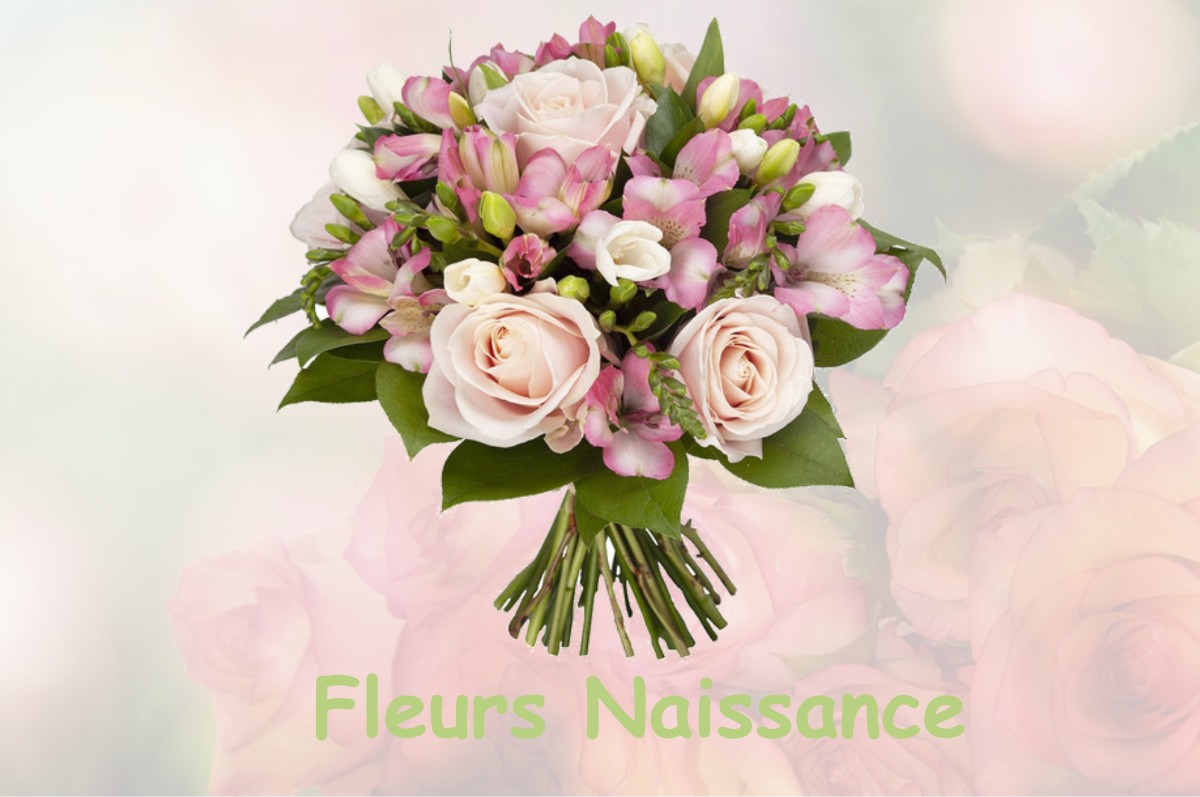 fleurs naissance RACHECOURT-SUR-MARNE